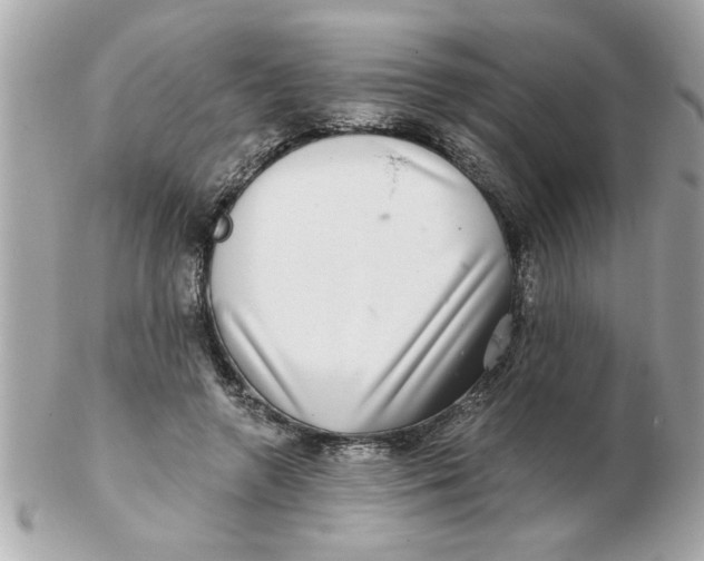 X0000102540546200808291844