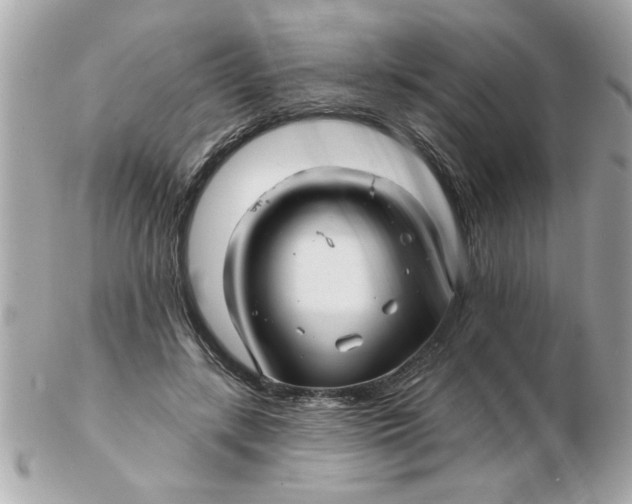 X0000102540547200808291844