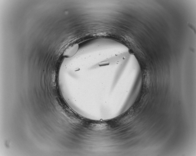 X0000102540548200808291844