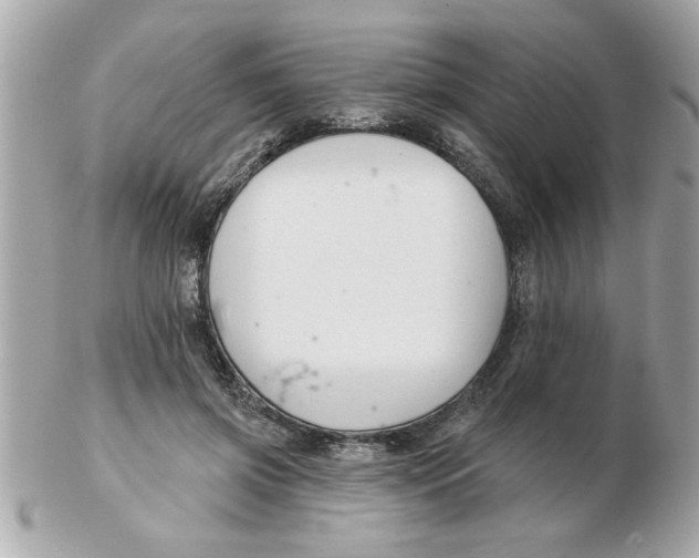 X0000102540549200808291844