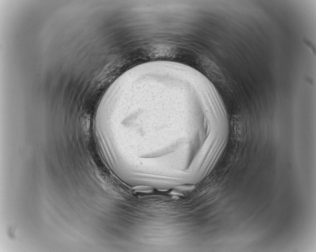 X0000102540550200808291844