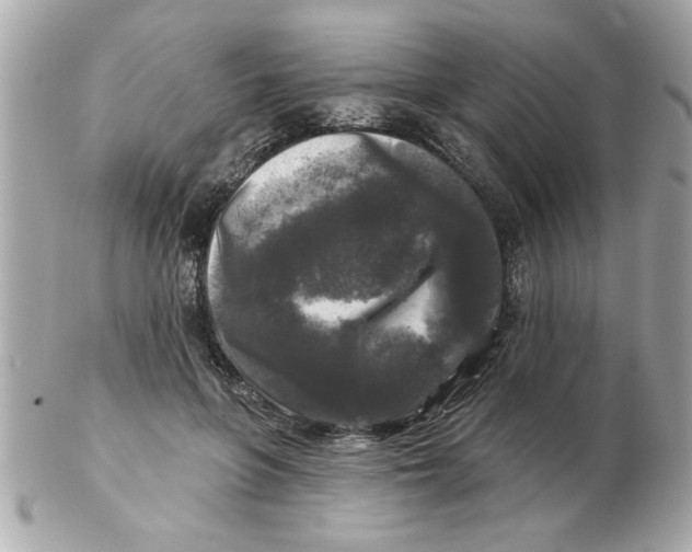 X0000102540551200808291844