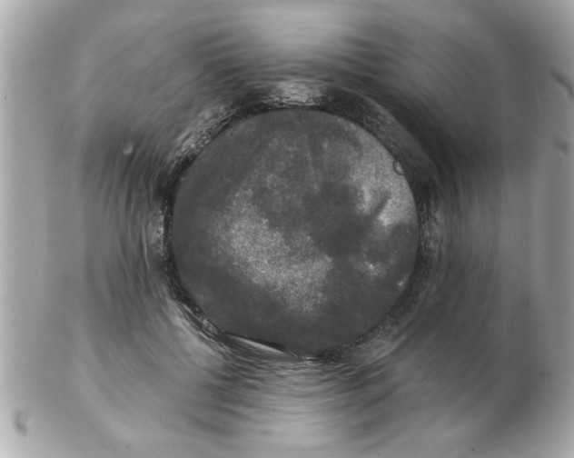 X0000102540552200808291844