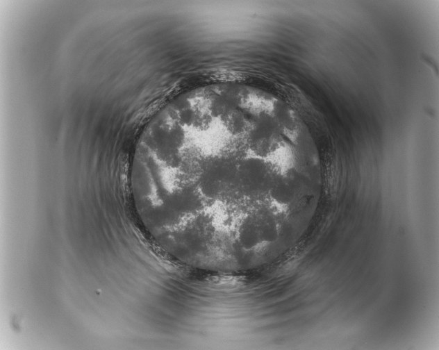 X0000102540553200808291844