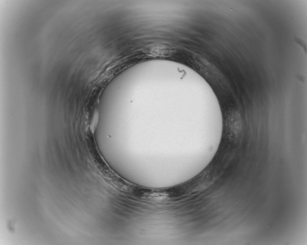 X0000102540554200808291844