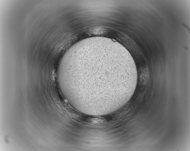 X0000102540555200808291844