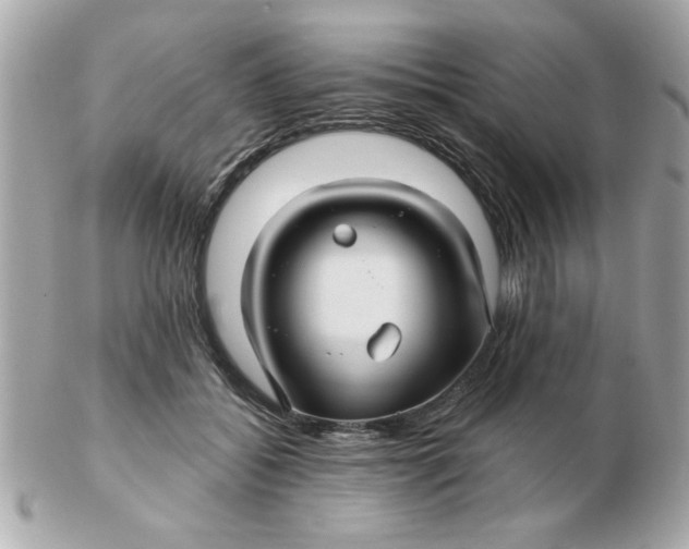 X0000102540556200808291844