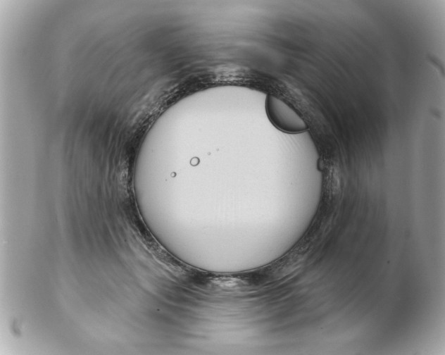 X0000102540557200808291844