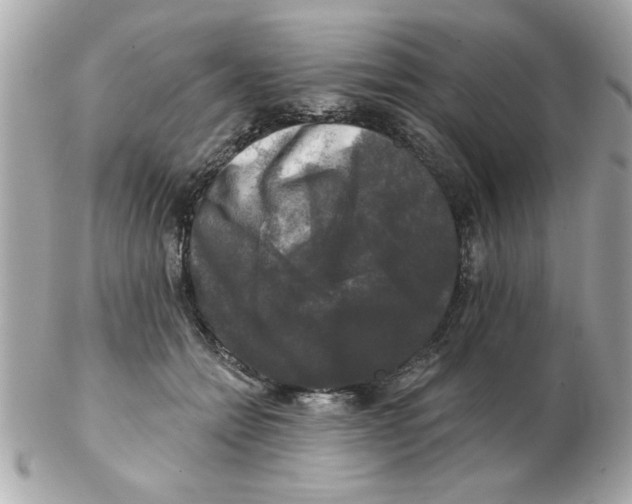 X0000102540558200808291844