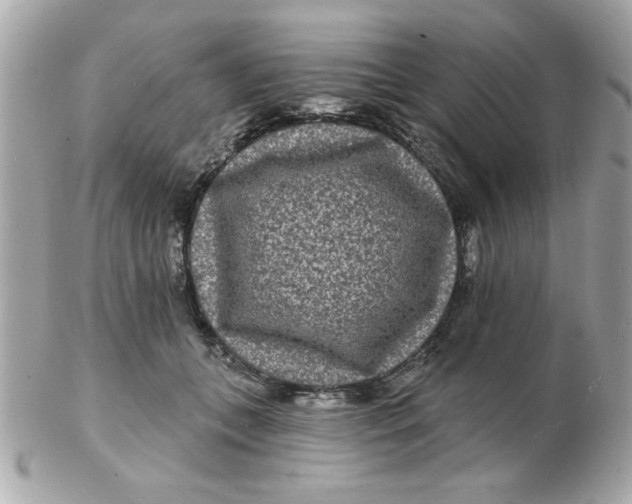 X0000102540559200808291844