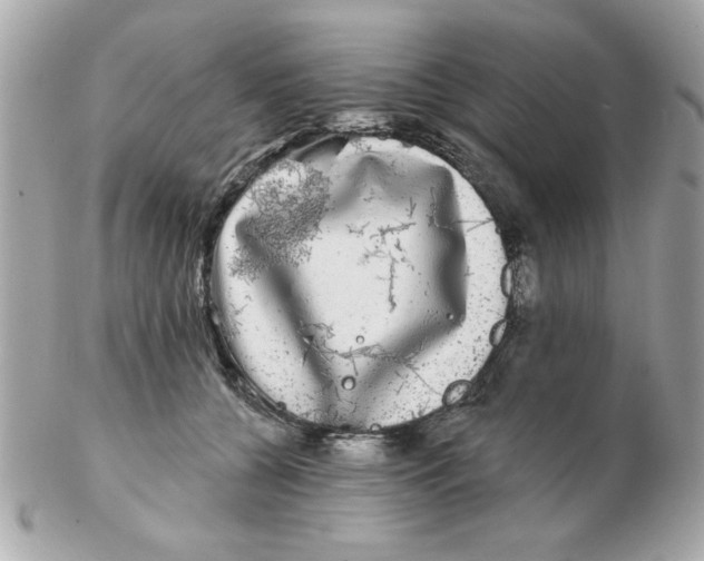 X0000102540560200808291844