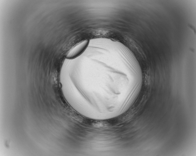 X0000102540561200808291844