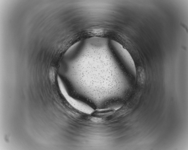 X0000102540562200808291844