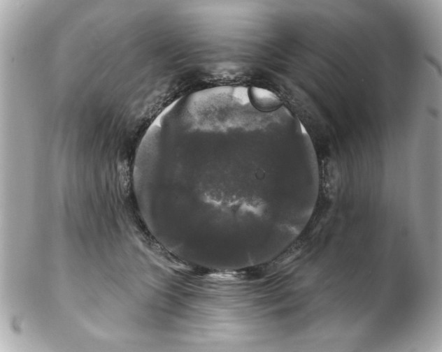 X0000102540563200808291844