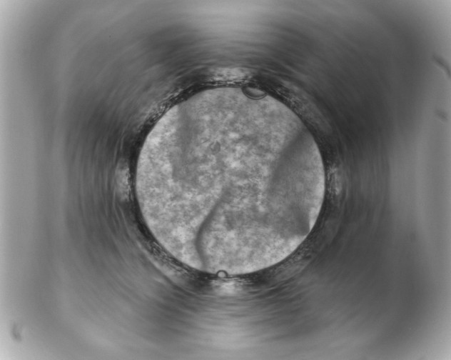 X0000102540564200808291844