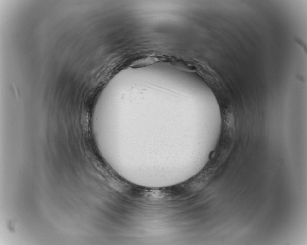 X0000102540565200808291844