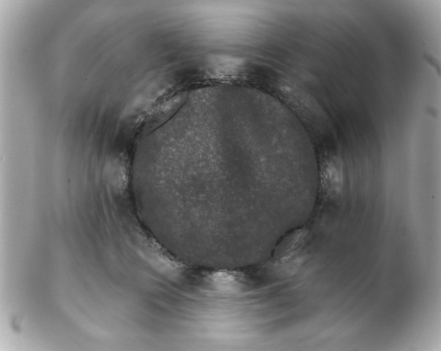 X0000102540566200808291844