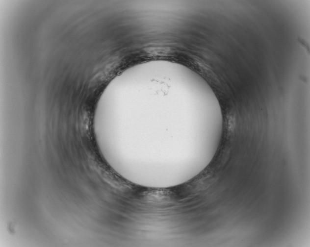 X0000102540567200808291844