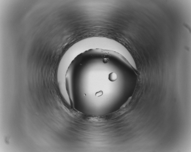 X0000102540568200808291844