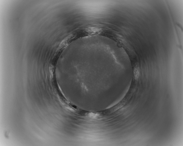 X0000102540570200808291844