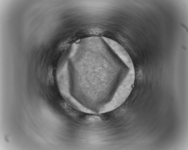 X0000102540572200808291844