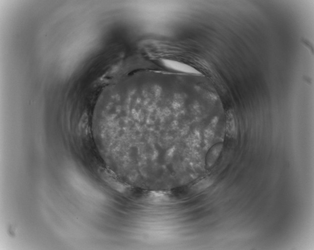 X0000102540573200808291844