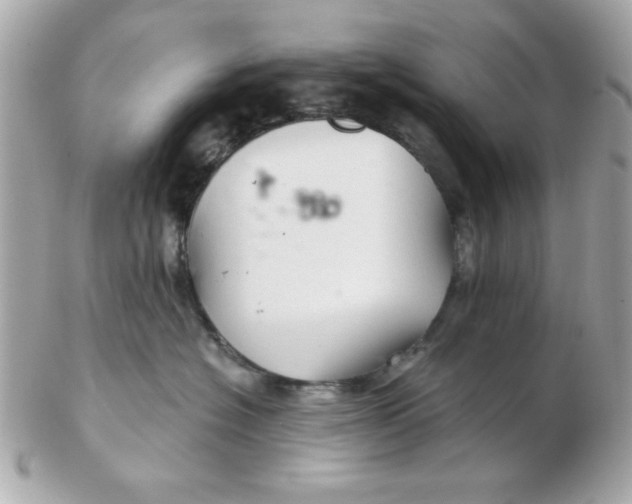 X0000102540574200808291844