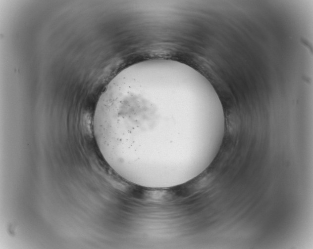 X0000102540575200808291844