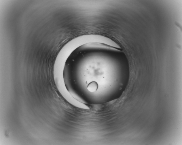 X0000102540576200808291844