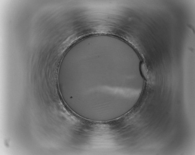 X0000102540577200808291844