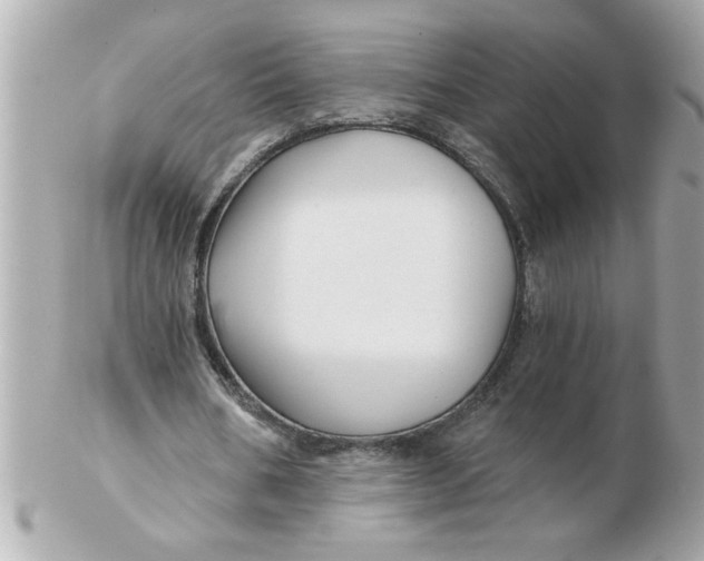 X0000102540578200808291844