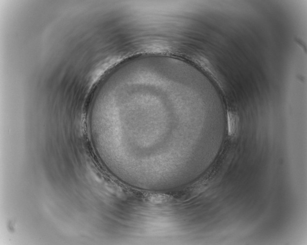 X0000102540579200808291844