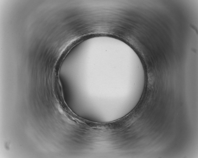 X0000102540580200808291844