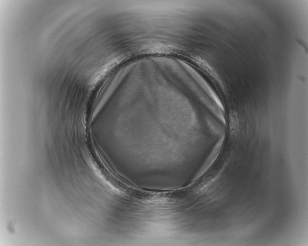 X0000102540581200808291844