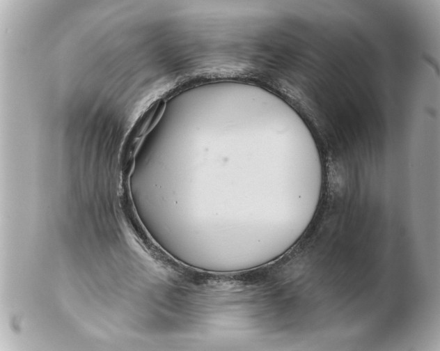 X0000102540582200808291844