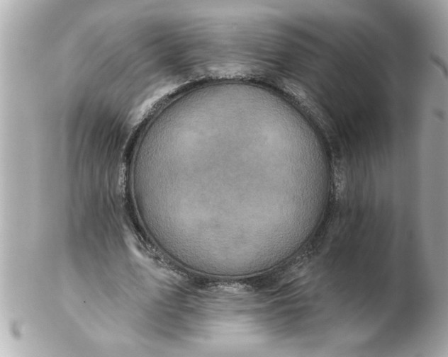 X0000102540583200808291844