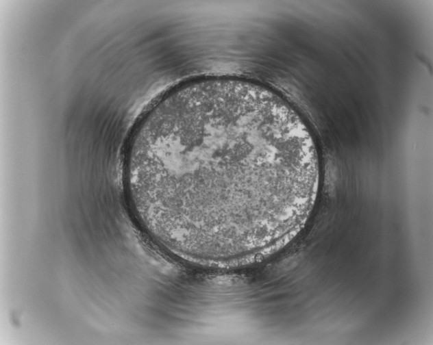 X0000102540584200808291844