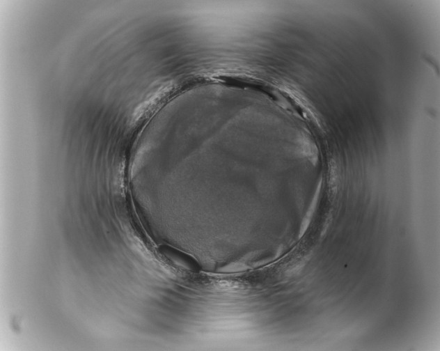 X0000102540585200808291844