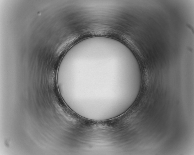 X0000102540586200808291844