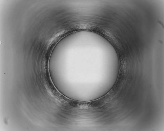 X0000102540587200808291844