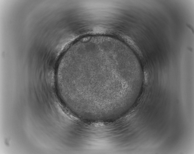 X0000102540588200808291844