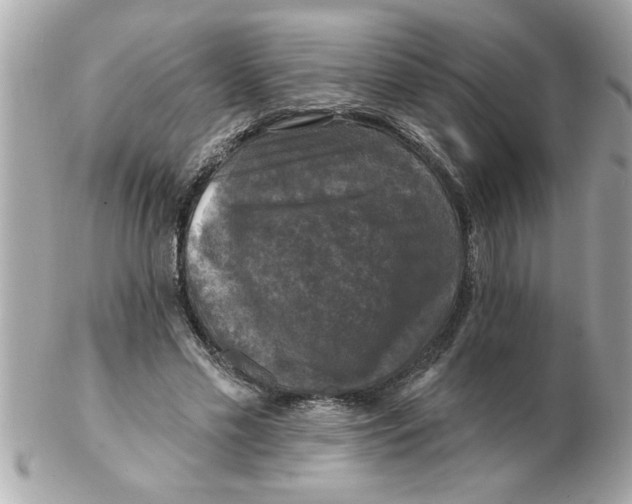 X0000102540589200808291844