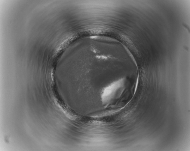 X0000102540590200808291844