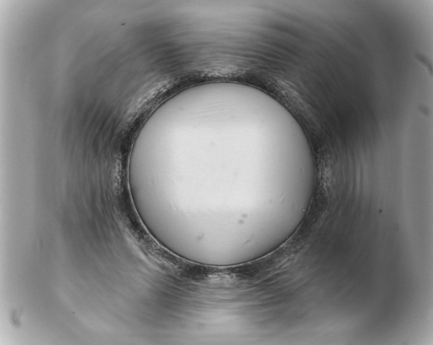 X0000102540591200808291844