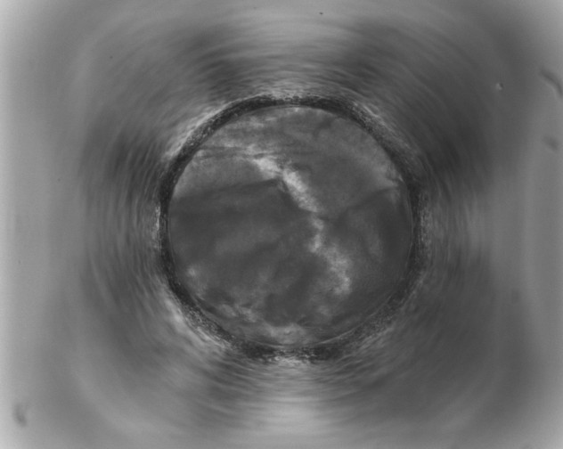 X0000102540592200808291843