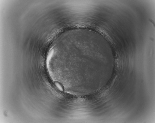 X0000102540593200808291843