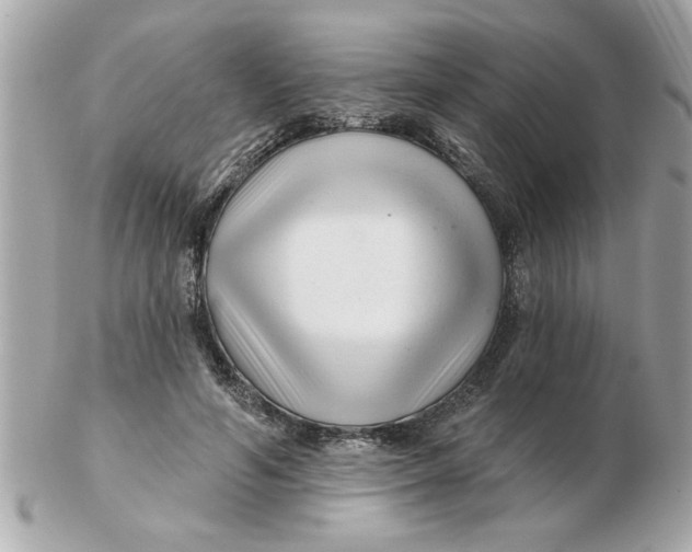 X0000102540594200808291843