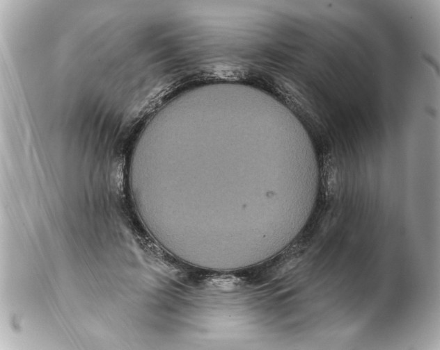 X0000102540595200808291843