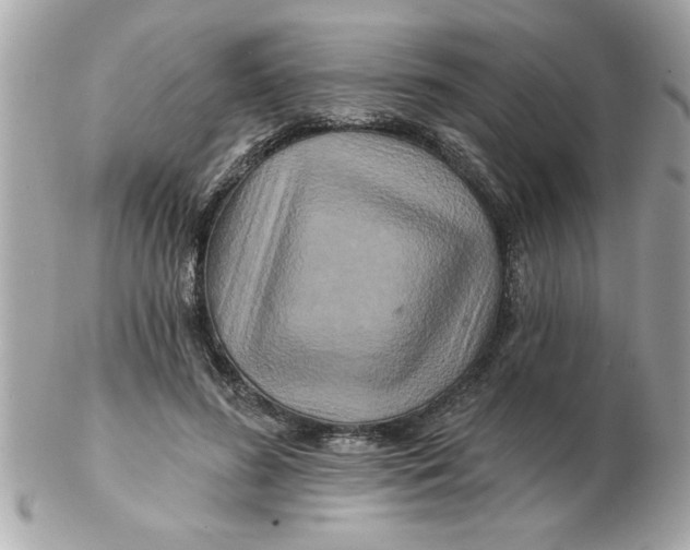 X0000102540596200808291843