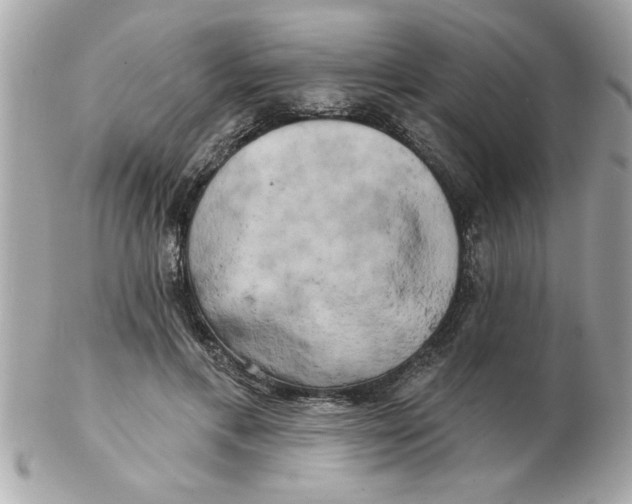 X0000102540597200808291843